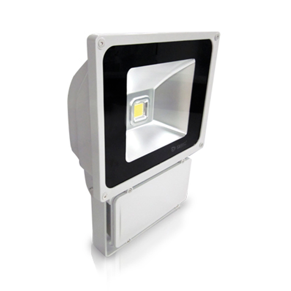 Proyector led 80W luz fría