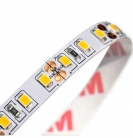 5m tira LED 12V cálida