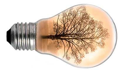 Escoger bombilla LED